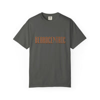 Load image into Gallery viewer, Beard. Style. Character. T-Shirt